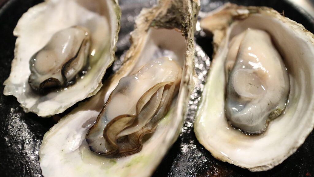 oyster, oysters, shell, mussel, dried scallops, seafood, barbecue, oyster, oyster, oyster, oyster, oyster, oysters, oysters, oysters, seafood